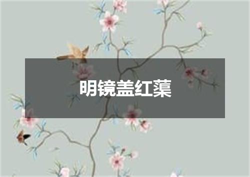 明镜盖红蕖
