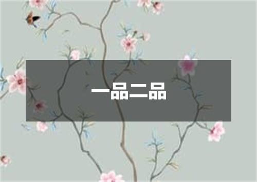 一品二品
