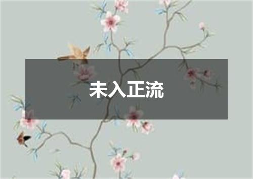 未入正流