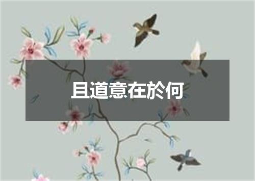 且道意在於何