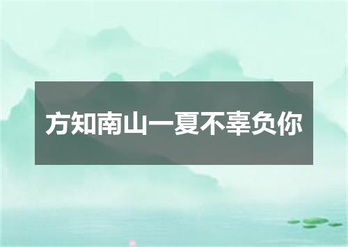 方知南山一夏不辜负你