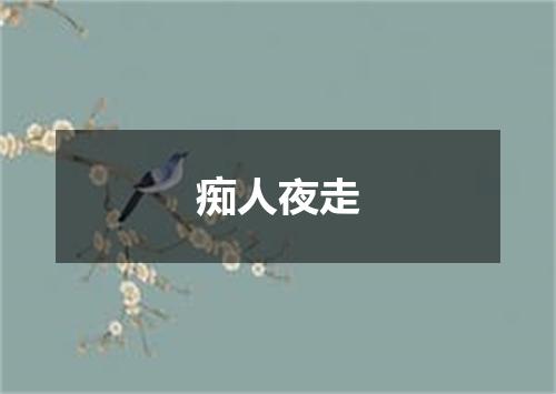 痴人夜走