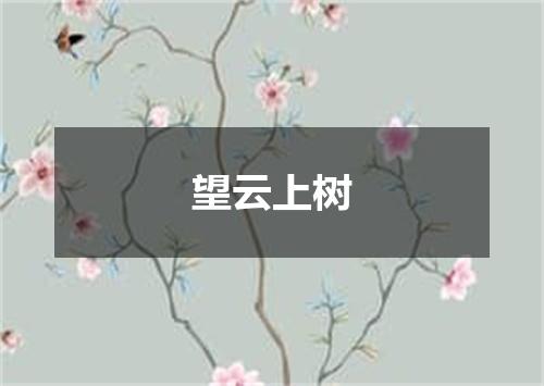 望云上树