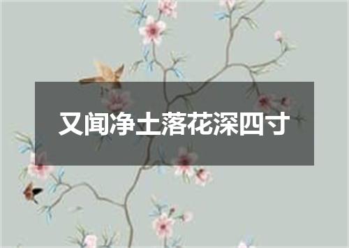 又闻净土落花深四寸