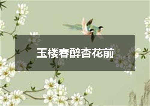 玉楼春醉杏花前