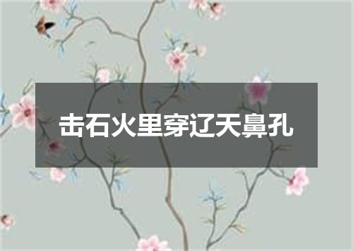 击石火里穿辽天鼻孔