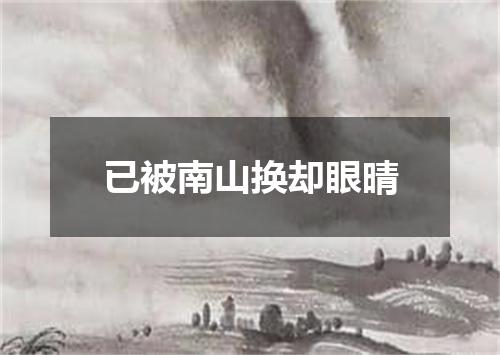 已被南山换却眼晴