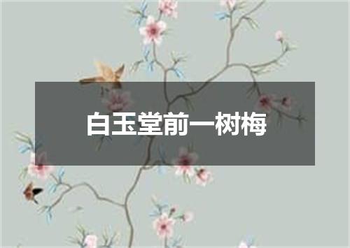 白玉堂前一树梅
