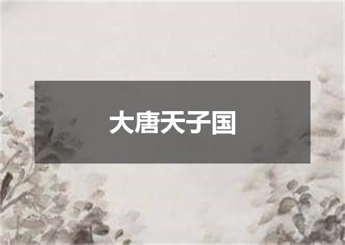 大唐天子国