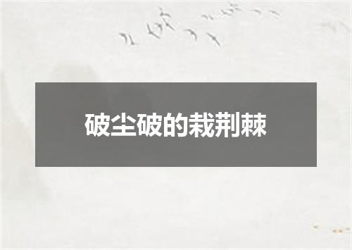破尘破的栽荆棘