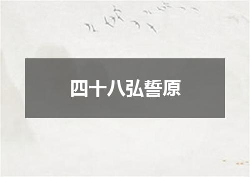 四十八弘誓原