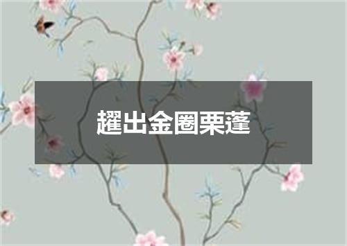 趯出金圈栗蓬