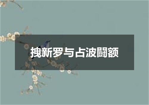 拽新罗与占波闘额