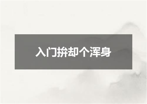 入门拚却个浑身