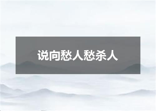 说向愁人愁杀人