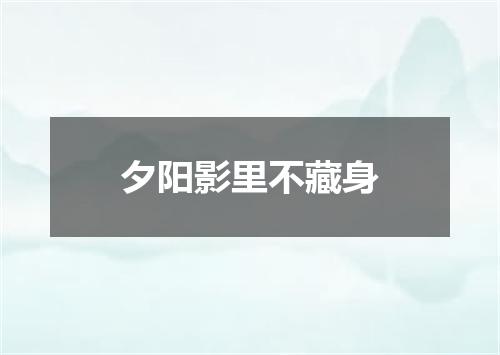 夕阳影里不藏身