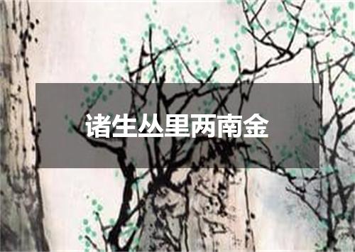 诸生丛里两南金