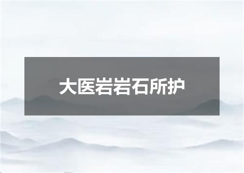 大医岩岩石所护