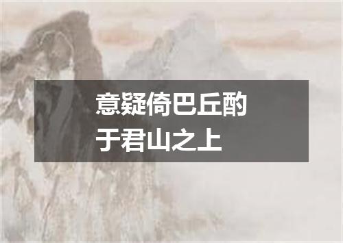 意疑倚巴丘酌于君山之上