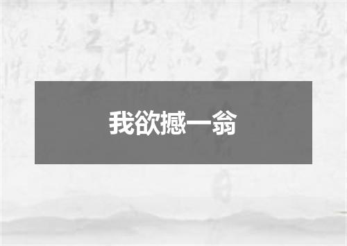 我欲撼一翁
