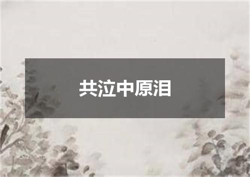 共泣中原泪