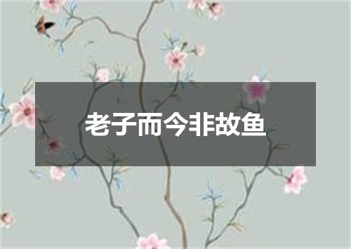 老子而今非故鱼