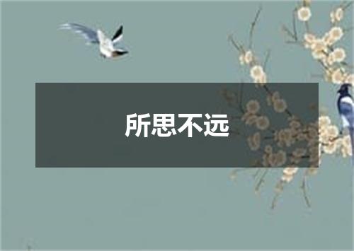所思不远