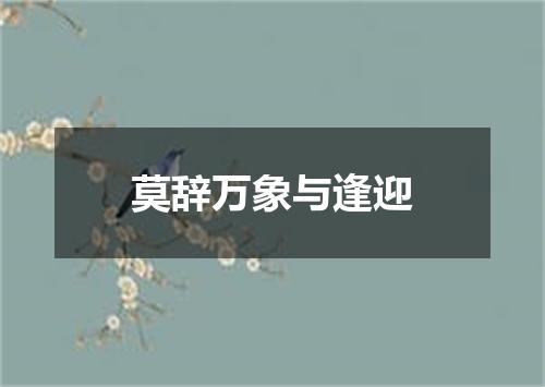 莫辞万象与逢迎
