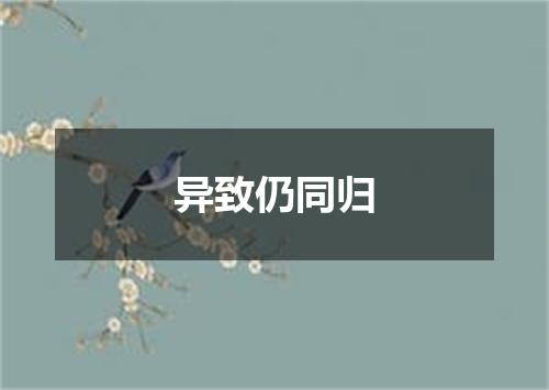 异致仍同归