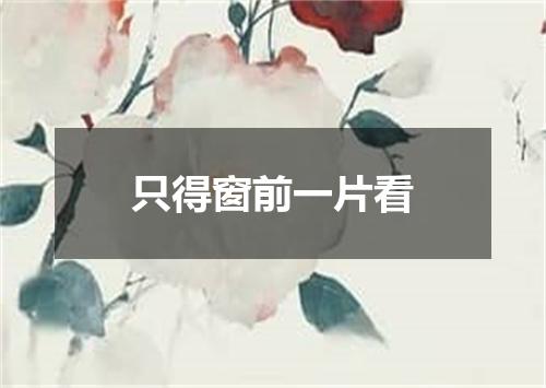 只得窗前一片看