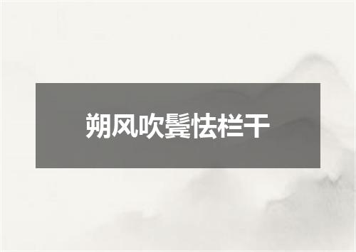 朔风吹鬓怯栏干