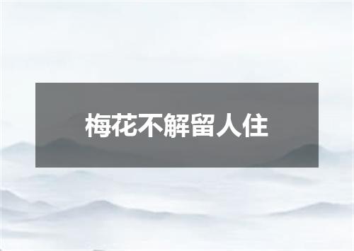 梅花不解留人住