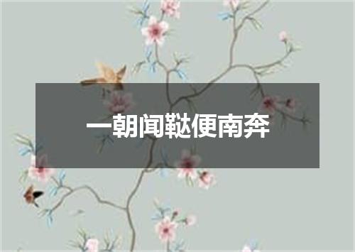 一朝闻鞑便南奔