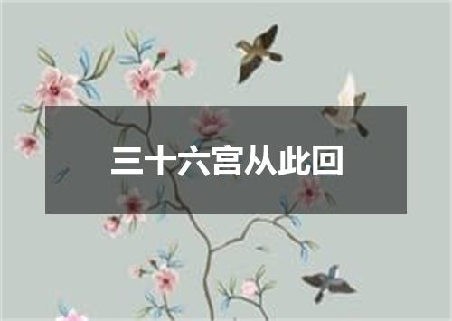 三十六宫从此回