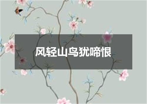 风轻山鸟犹啼恨