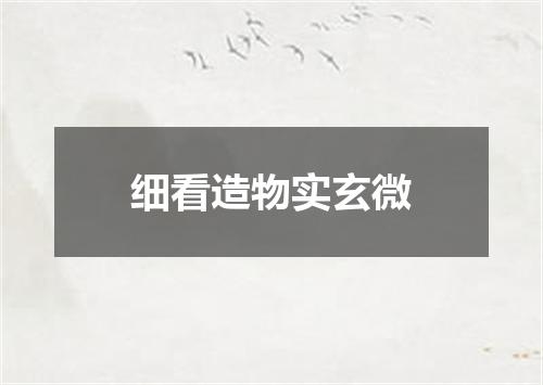 细看造物实玄微