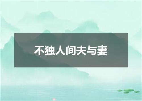不独人间夫与妻