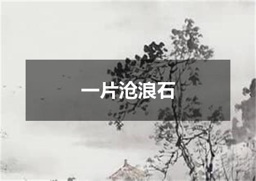 一片沧浪石