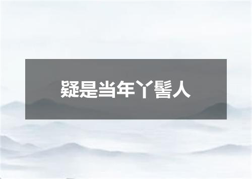 疑是当年丫髻人
