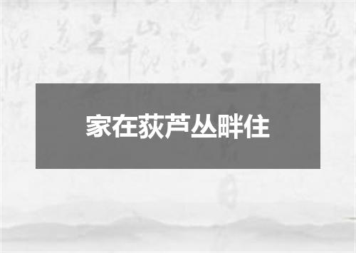 家在荻芦丛畔住