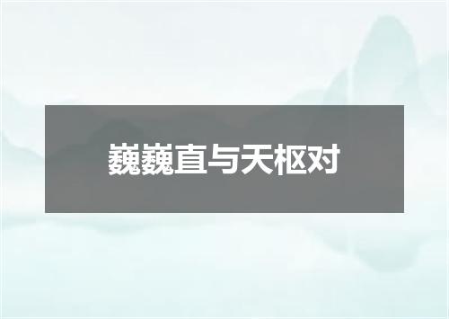 巍巍直与天枢对