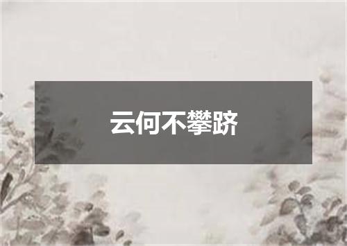 云何不攀跻