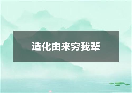 造化由来穷我辈