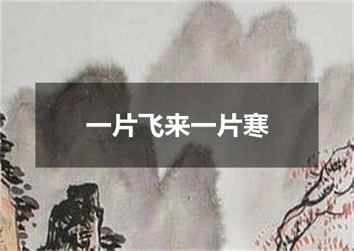 一片飞来一片寒