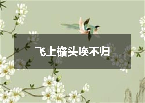 飞上檐头唤不归