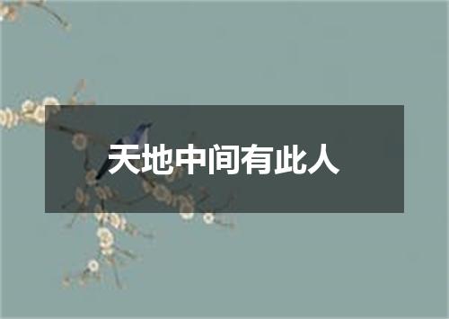 天地中间有此人