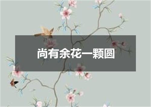 尚有余花一颗圆