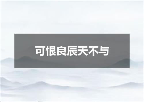可恨良辰天不与