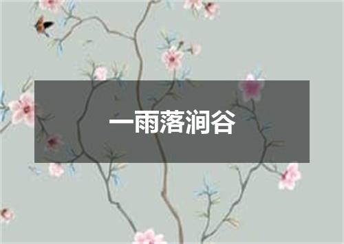 一雨落涧谷