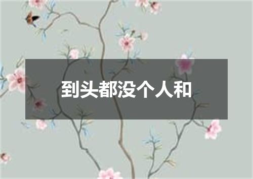 到头都没个人和